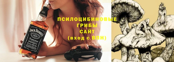 соль ск Абдулино